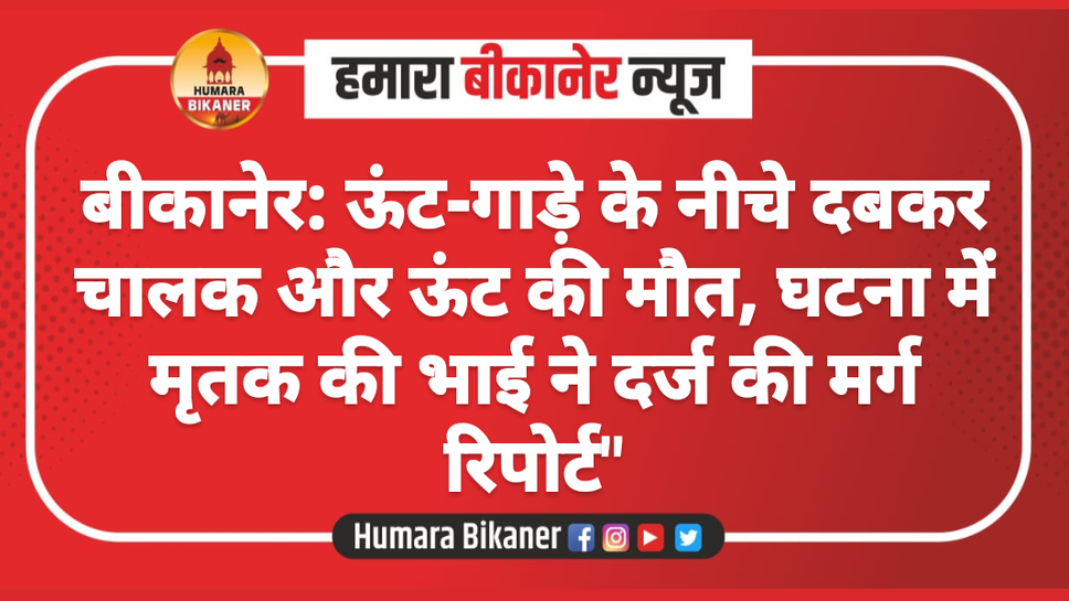 बीकानेर: ऊंट-गाड़े के नीचे दबकर चालक और ऊंट की मौत, घटना में मृतक की भाई ने दर्ज की मर्ग रिपोर्ट"