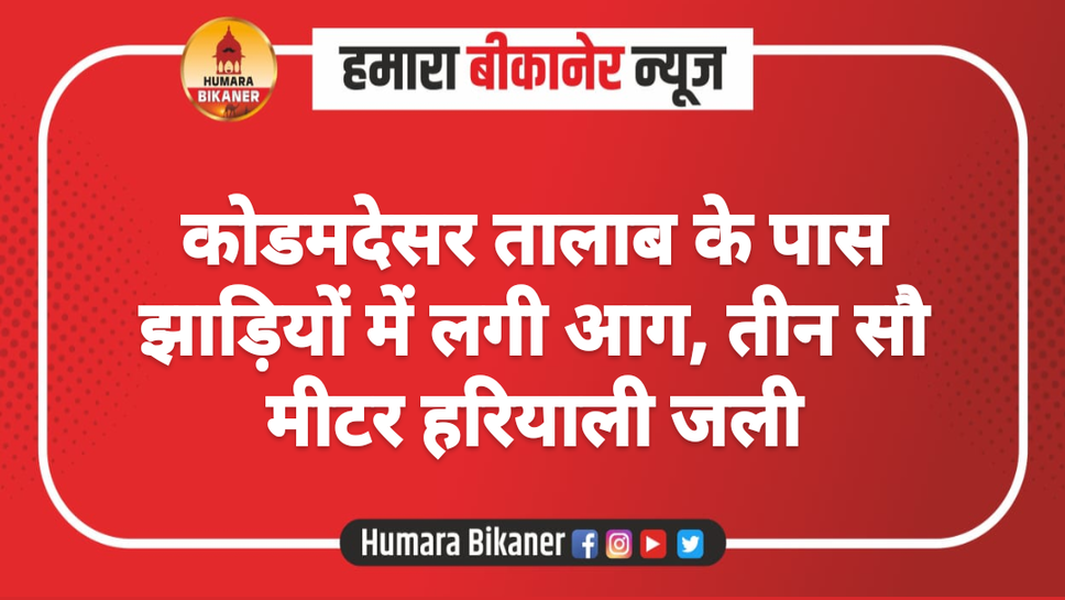 कोडमदेसर तालाब के पास झाड़ियों में लगी आग, तीन सौ मीटर हरियाली जली