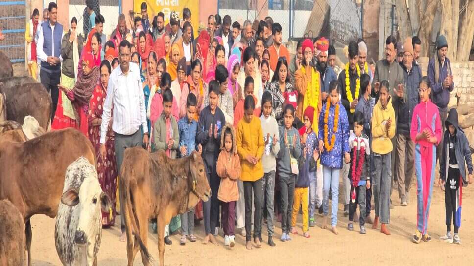 श्रीगंगा जुबली पिंजरा प्रोल गौशाला में गोमाता की सेवा का अनूठा अभियान, महागो प्रसादी का आयोजन