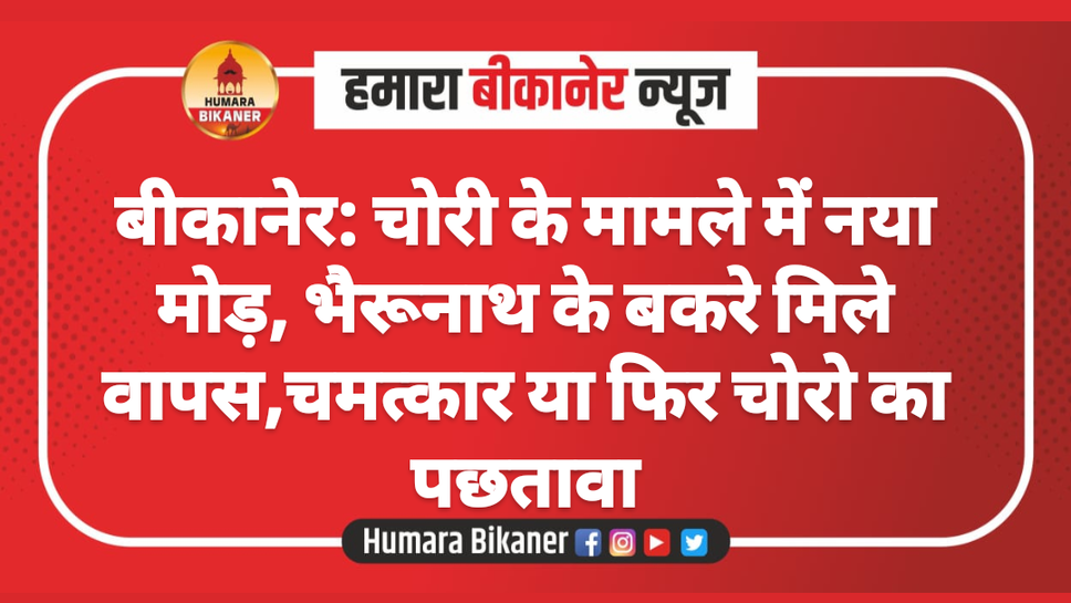 बीकानेर: चोरी के मामले में नया मोड़, भैरूनाथ के बकरे मिले वापस,चमत्कार या फिर चोरो का पछतावा