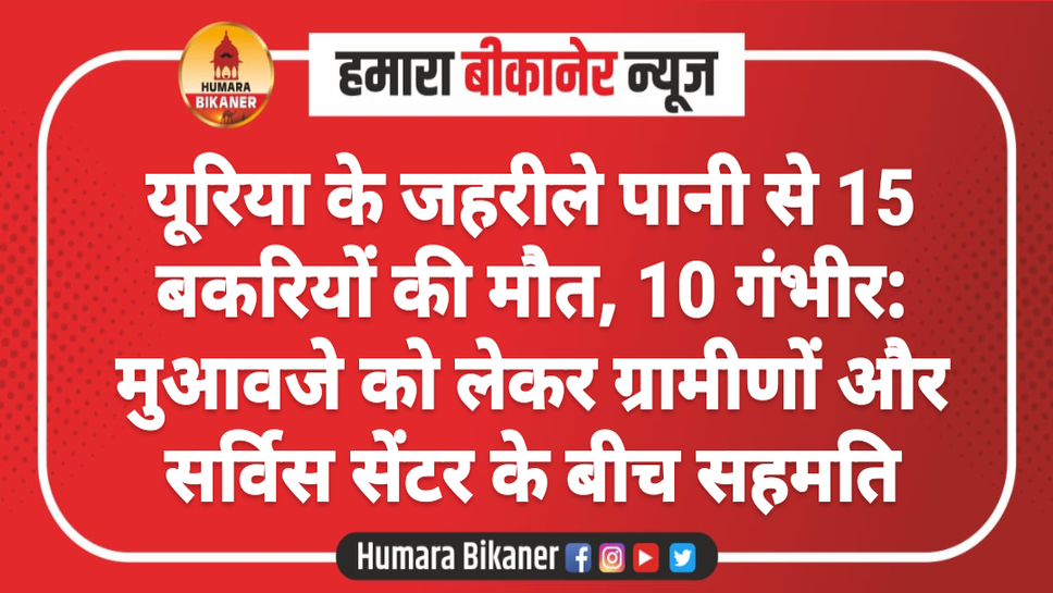 यूरिया के जहरीले पानी से 15 बकरियों की मौत, 10 गंभीर: मुआवजे को लेकर ग्रामीणों और सर्विस सेंटर के बीच सहमति