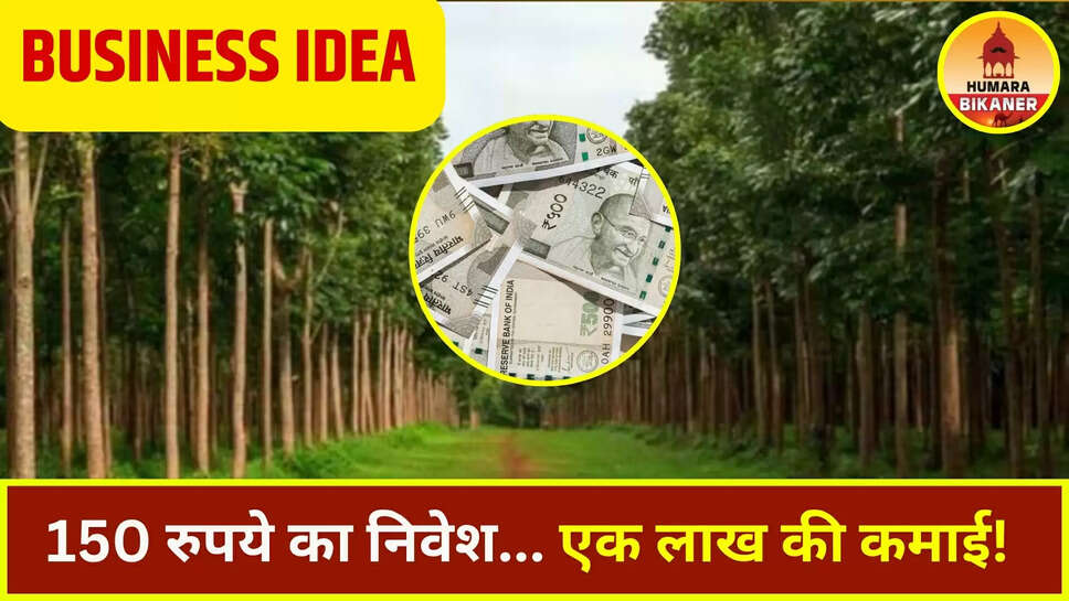 BUSINESS IDEA