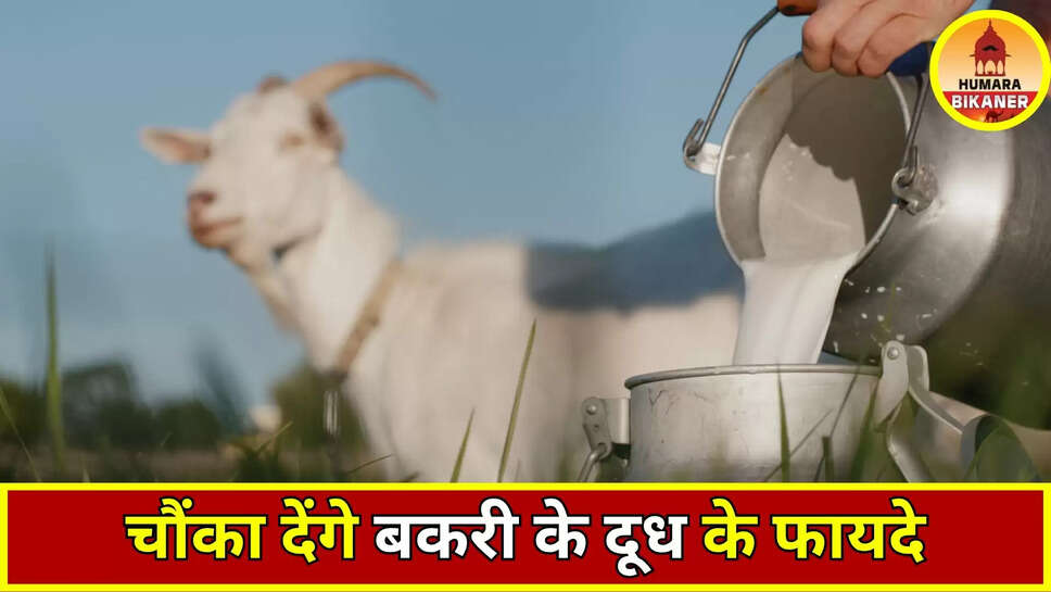Goat Milk Benefits