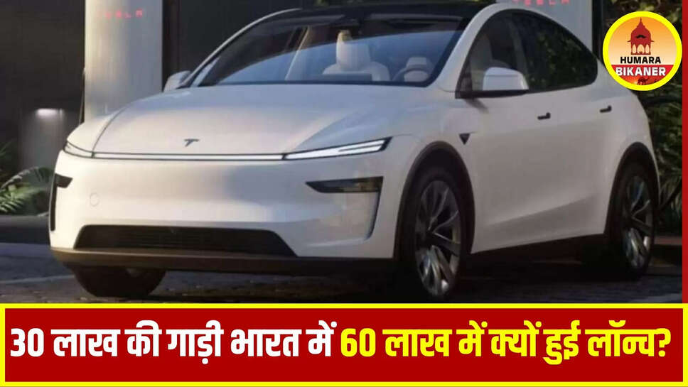 tesla y model