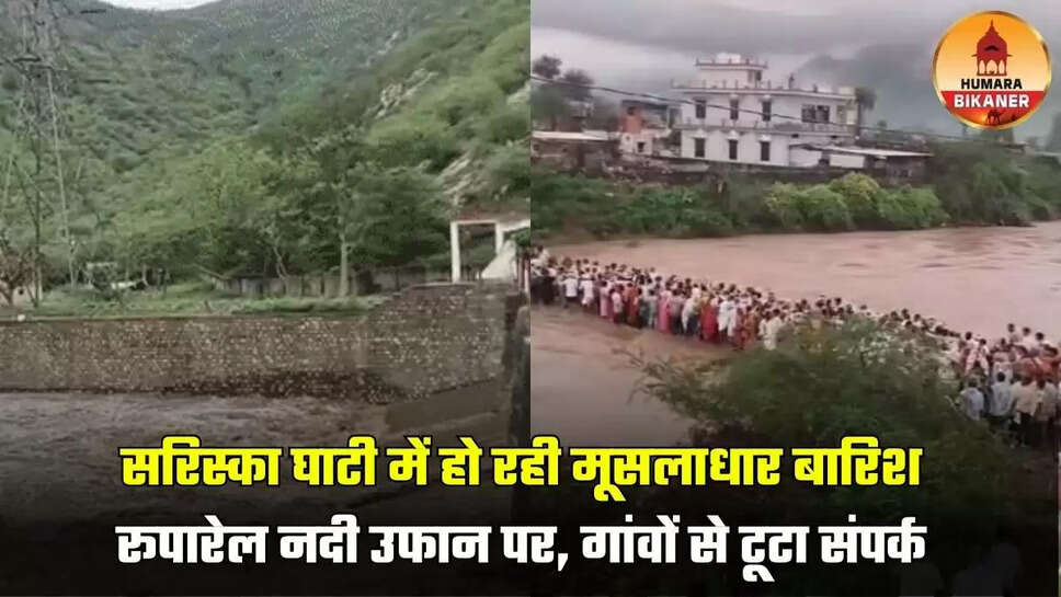 sariska valley rain