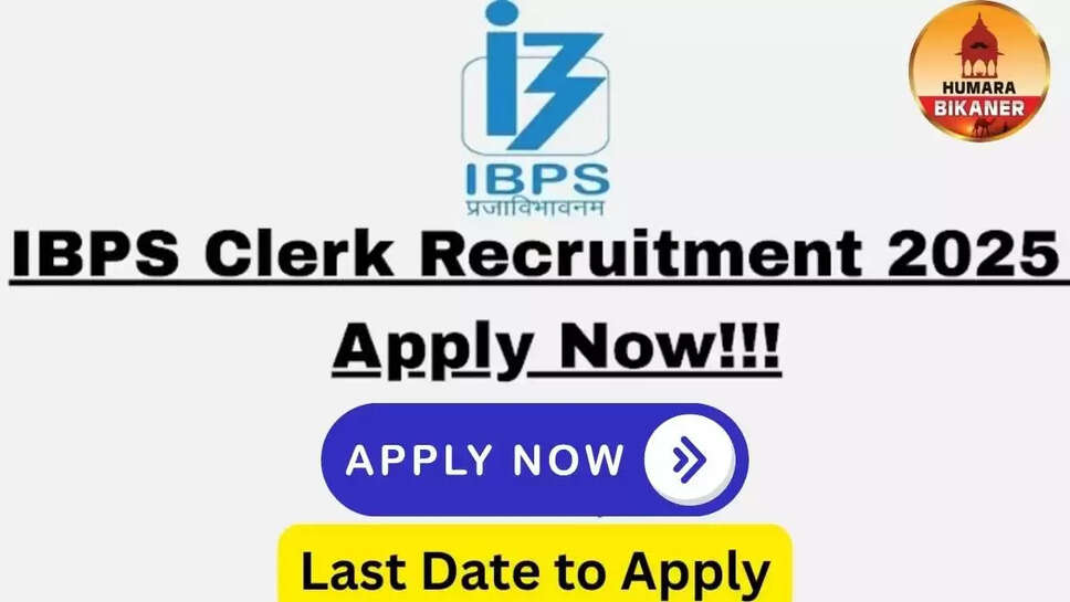 ibps clerk recruitment 2025