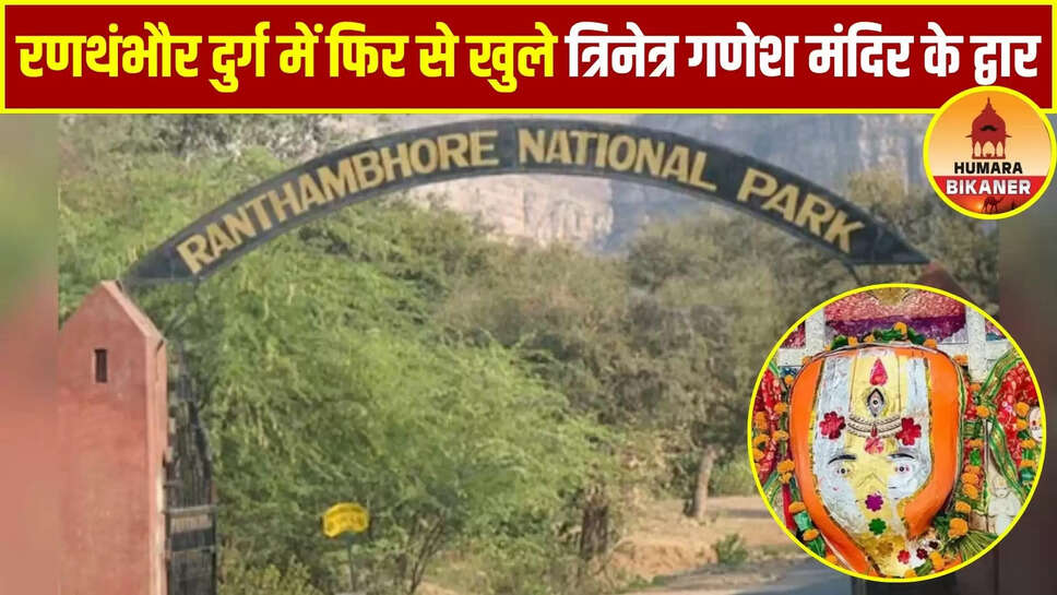 ranthambore news