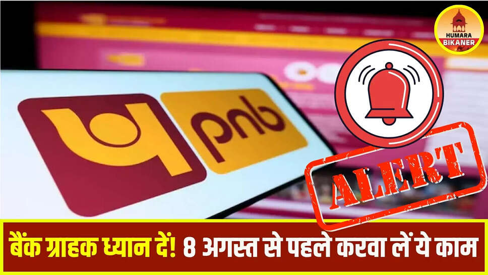 pnb alert