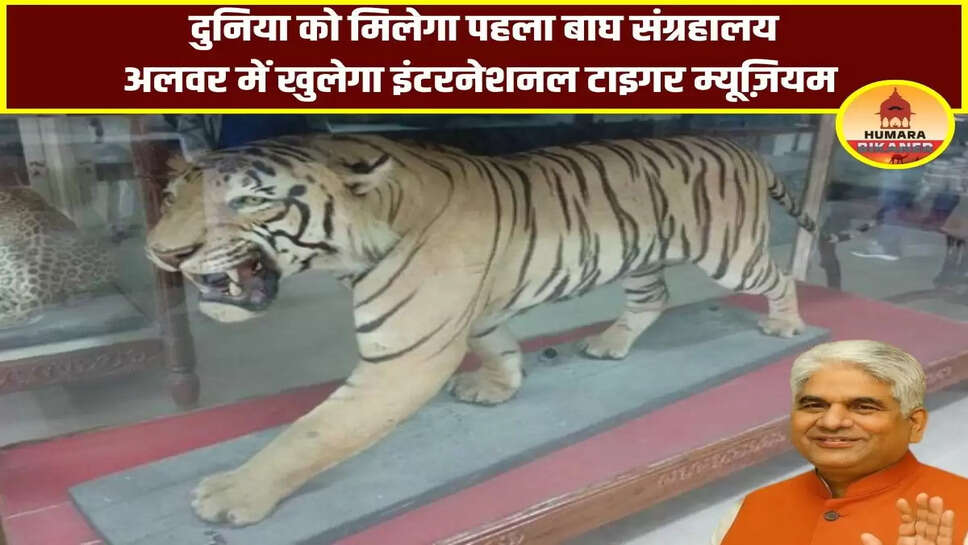 International Tiger Museum Alwar