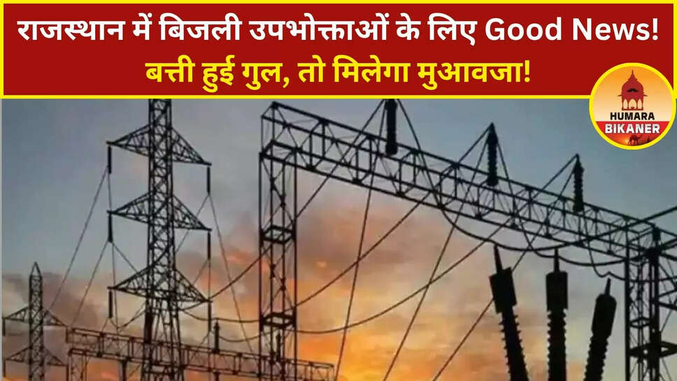 Rajasthan Electricity Compensation