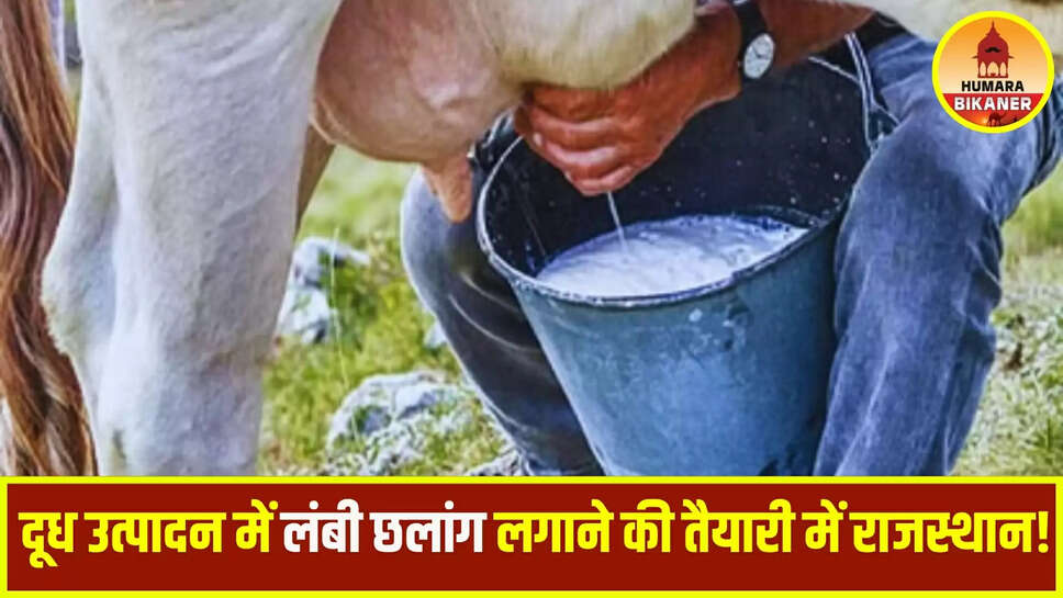 Rajasthan Milk Production