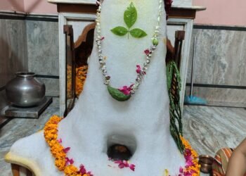 नत्थूसर बास के श्री हनुमान मंदिर स्थित भगवान शिव को अमरनाथ स्वरूप में किया गया अलंकृत, भक्ति भाव से संपन्न हुआ पूजन