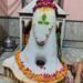 नत्थूसर बास के श्री हनुमान मंदिर स्थित भगवान शिव को अमरनाथ स्वरूप में किया गया अलंकृत, भक्ति भाव से संपन्न हुआ पूजन