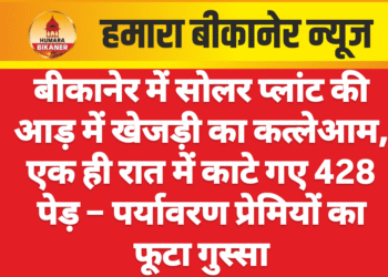 बीकानेर में सोलर प्लांट की आड़ में खेजड़ी का कत्लेआम, एक ही रात में काटे गए 428 पेड़ – पर्यावरण प्रेमियों का फूटा गुस्सा