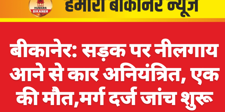 बीकानेर में नीलगाय से टकराकर कार अनियंत्रित, एक की मौत, मर्ग दर्ज जांच शुरू