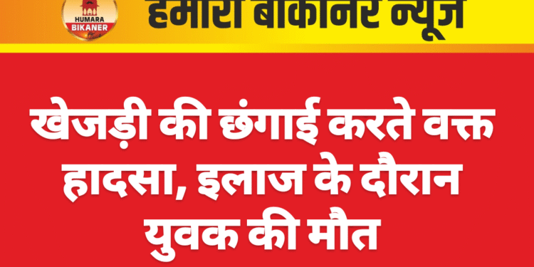 खेजड़ी की छंगाई करते वक्त हादसा, इलाज के दौरान युवक की मौत