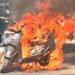 बीकानेर: एमएस कॉलेज ओवरब्रिज पर सड़क पर दौड़ती स्कूटी धू-धू कर जल उठी