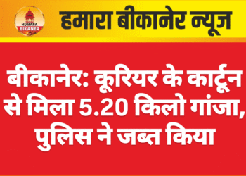 बीकानेर: कूरियर के कार्टून से मिला 5.20 किलो गांजा, पुलिस ने जब्त किया