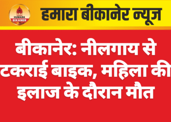 बीकानेर: नीलगाय से टकराई बाइक, महिला की इलाज के दौरान मौत