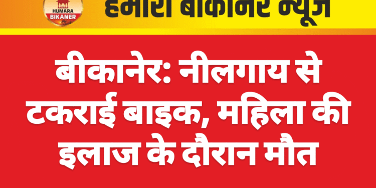 बीकानेर: नीलगाय से टकराई बाइक, महिला की इलाज के दौरान मौत