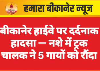 बीकानेर हाईवे पर दर्दनाक हादसा — नशे में ट्रक चालक ने 5 गायों को रौंदा