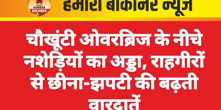 चौखूंटी ओवरब्रिज के नीचे नशेड़ियों का अड्डा, राहगीरों से छीना-झपटी की बढ़ती वारदातें