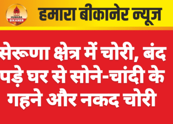 सेरूणा क्षेत्र में चोरी, बंद पड़े घर से सोने-चांदी के गहने और नकद चोरी