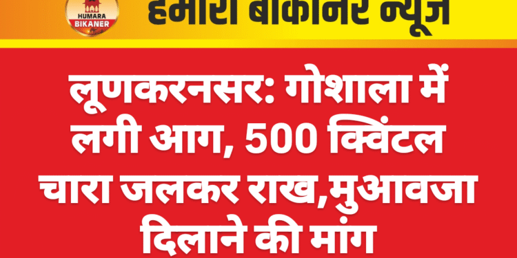 लूणकरनसर: गोशाला में लगी आग, 500 क्विंटल चारा जलकर राख,मुआवजा दिलाने की मांग