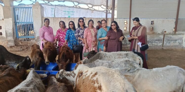 जिला बीकानेर श्री महिला संगठन द्वारा गौसेवा, सोभासर गौशाला में गौवंश को पाँच क्विंटल आहार अर्पित