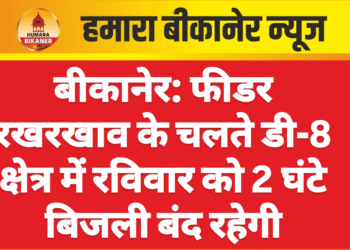 बीकानेर: फीडर रखरखाव के चलते डी-8 क्षेत्र में रविवार को 2 घंटे बिजली बंद रहेगी