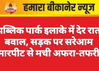 पब्लिक पार्क इलाके में देर रात बवाल, सड़क पर सरेआम मारपीट से मची अफरा-तफरी
