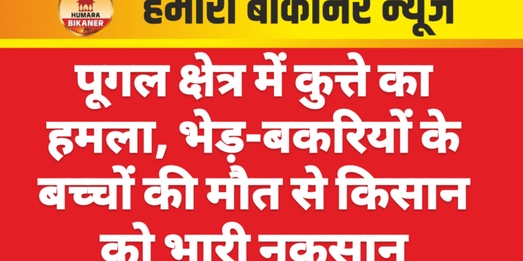 पूगल क्षेत्र में कुत्ते का हमला, भेड़-बकरियों के बच्चों की मौत से किसान को भारी नुकसान