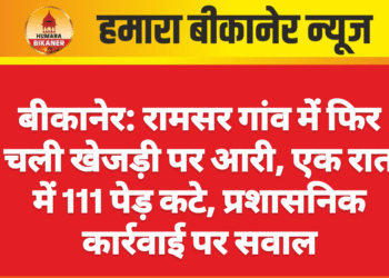 बीकानेर: रामसर गांव में फिर चली खेजड़ी पर आरी, एक रात में 111 पेड़ कटे, प्रशासनिक कार्रवाई पर सवाल
