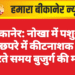 बीकानेर: नोखा में पशुओं के छपरे में कीटनाशक स्प्रे करते समय बुजुर्ग की मौत