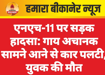 एनएच-11 पर सड़क हादसा: गाय अचानक सामने आने से कार पलटी, युवक की मौत