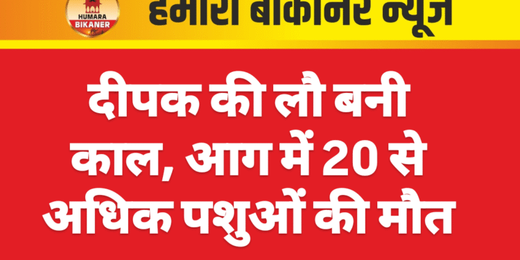 दीपक की लौ बनी काल, आग में 20 से अधिक पशुओं की मौत