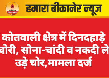 कोतवाली क्षेत्र में दिनदहाड़े चोरी, सोना-चांदी व नकदी ले उड़े चोर,मामला दर्ज