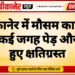 बीकानेर में मौसम का रौद्र रूप, कई जगह पेड़ और पोल हुए क्षतिग्रस्त