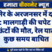 बीकानेर के अरजनसर में दर्दनाक हादसा: मालगाड़ी की चपेट में आने से दो ऊंटों की मौत, रेल यातायात कुछ समय बाधित