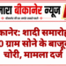 बीकानेर: शादी समारोह में 110 ग्राम सोने के बाजूबंद चोरी, मामला दर्ज