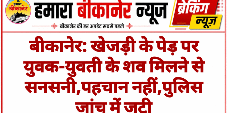 बीकानेर: खेजड़ी के पेड़ पर युवक-युवती के शव मिलने से सनसनी,पहचान नहीं,पुलिस जांच में जुटी