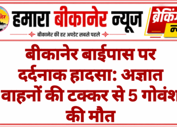 बीकानेर बाईपास पर दर्दनाक हादसा: अज्ञात वाहनों की टक्कर से 5 गोवंश की मौत