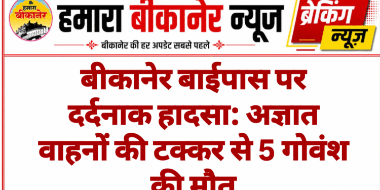 बीकानेर बाईपास पर दर्दनाक हादसा: अज्ञात वाहनों की टक्कर से 5 गोवंश की मौत