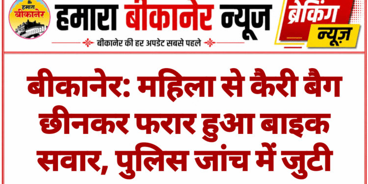 बीकानेर: महिला से कैरी बैग छीनकर फरार हुआ बाइक सवार, पुलिस जांच में जुटी