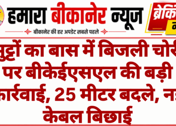 भुट्टों का बास में बिजली चोरी पर बीकेईएसएल की बड़ी कार्रवाई, 25 मीटर बदले, नई केबल बिछाई