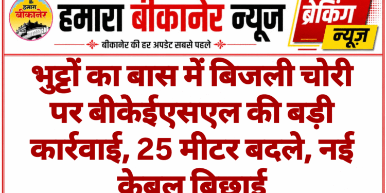 भुट्टों का बास में बिजली चोरी पर बीकेईएसएल की बड़ी कार्रवाई, 25 मीटर बदले, नई केबल बिछाई