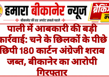 पाली में आबकारी की बड़ी कार्रवाई: चने के छिलकों के पीछे छिपी 180 कार्टन अंग्रेजी शराब जब्त, बीकानेर का आरोपी गिरफ्तार
