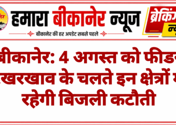 बीकानेर: 4 अगस्त को फीडर रखरखाव के चलते इन क्षेत्रों में रहेगी बिजली कटौती