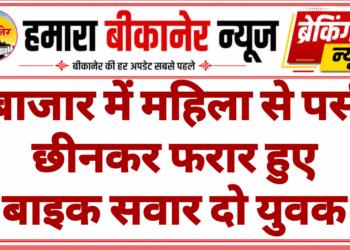 बाजार में महिला से पर्स छीनकर फरार हुए बाइक सवार दो युवक