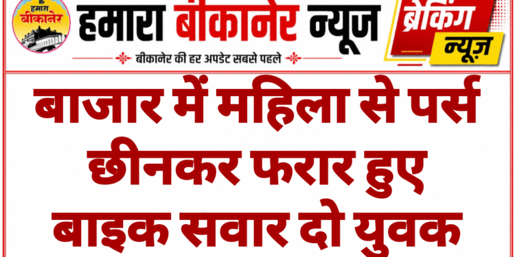 बाजार में महिला से पर्स छीनकर फरार हुए बाइक सवार दो युवक
